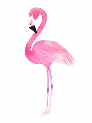 Rózsaszín flamingó (fotótapéta) - vászonkép, falikép otthonra és irodába