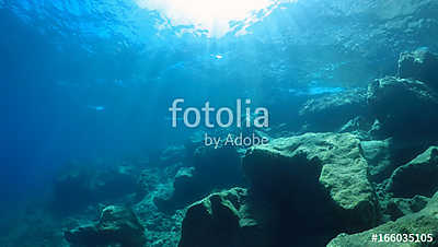 natural underwater background  (fotótapéta) - vászonkép, falikép otthonra és irodába