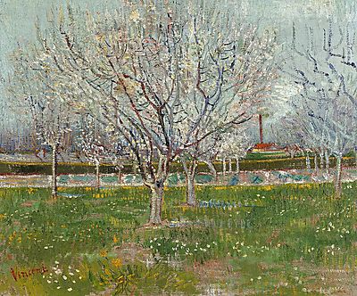 Vincent Van Gogh:  (id: 2890) falikép keretezve