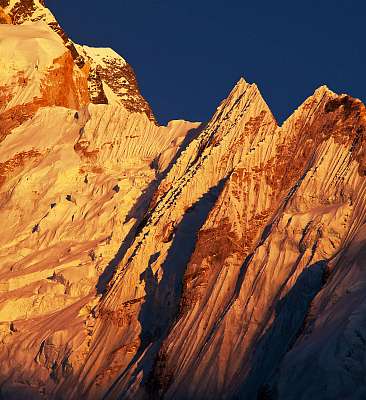 Himalaya (bögre) - vászonkép, falikép otthonra és irodába