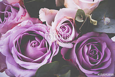 Fresh pink roses macro shot, summer flowers, vintage style (keretezett kép) - vászonkép, falikép otthonra és irodába