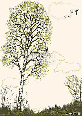 Spring landscape with birch tree silhouette. All objects are on separate layers (poszter) - vászonkép, falikép otthonra és irodába