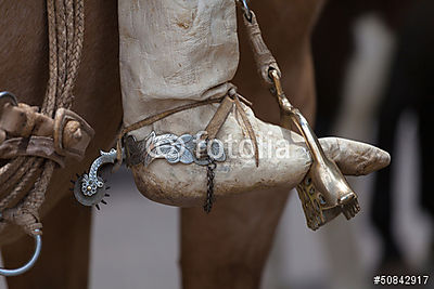 A gaucho tulajdonságai (bögre) - vászonkép, falikép otthonra és irodába