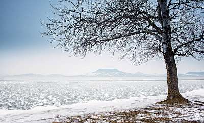 Téli Balaton, háttérben a Badacsonnyal (keretezett kép) - vászonkép, falikép otthonra és irodába