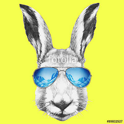 Portrait of Hare with mirror sunglasses and scarf. Hand drawn il (fotótapéta) - vászonkép, falikép otthonra és irodába