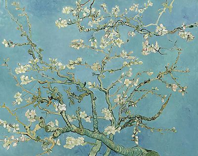 Vincent Van Gogh:  (id: 2595) falikép keretezve