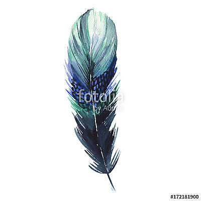 Watercolor bird feather from wing isolated. Aquarelle feather fo (keretezett kép) - vászonkép, falikép otthonra és irodába