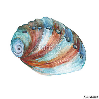 Illustrations of sea shells. Marine design. Hand drawn watercolo (bögre) - vászonkép, falikép otthonra és irodába