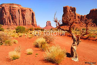 Nagy sziklaalakzatok a Navajo parkban, a Monument Valleyben (poszter) - vászonkép, falikép otthonra és irodába