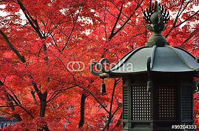 Japán kert ősszel, őszi levelek (többrészes kép) - vászonkép, falikép otthonra és irodába
