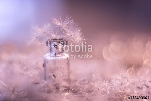 Macro of a dandelion with droplets of water. Dandelions in a sma, Premium Kollekció