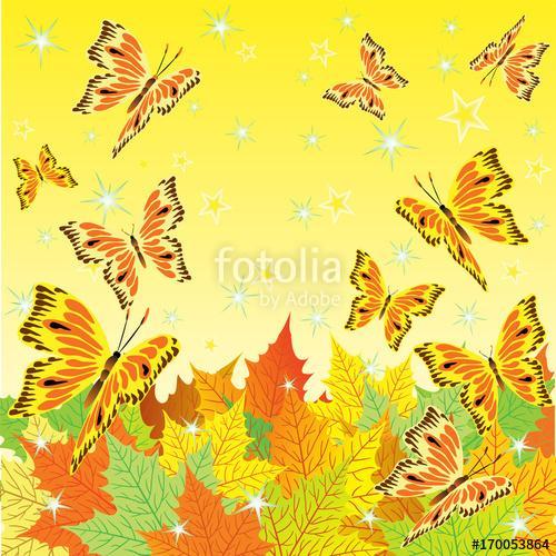 Őszi levelek pillangókkal, Partner Kollekció