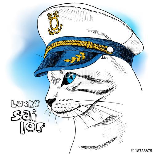 Portrait of a cat in sailor's cap on blue background. Vector ill, Premium Kollekció