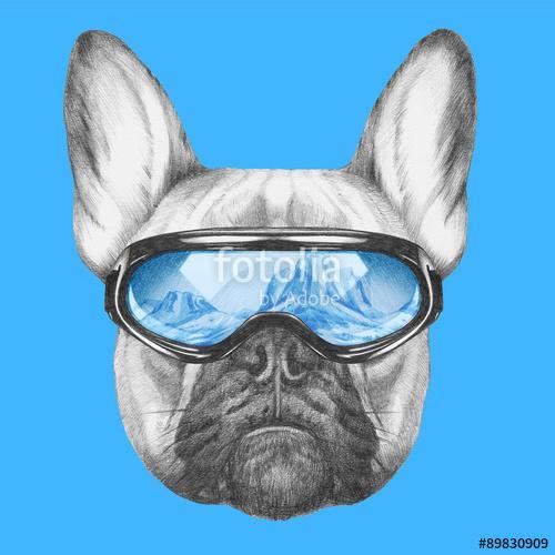 Portrait of French Bulldog with ski goggles. Hand drawn illustra, Premium Kollekció