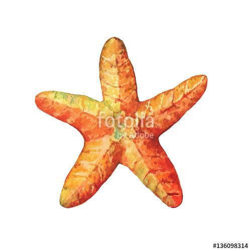 Illustrations of starfish. Marine design. Hand drawn watercolor , Premium Kollekció
