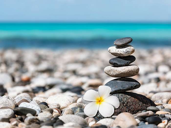 Zen balanced stones stack with plumeria flower, Premium Kollekció