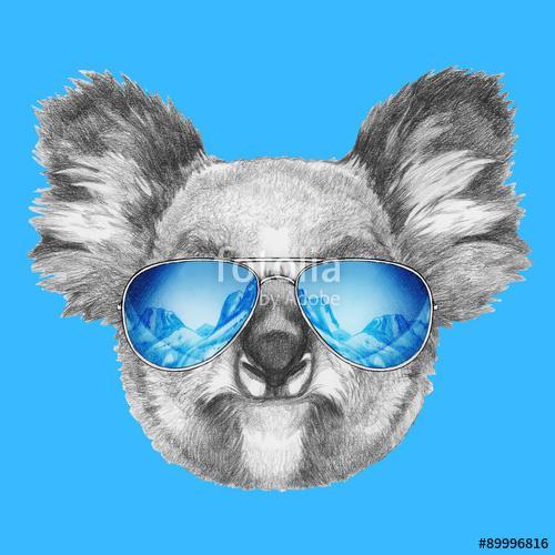 Portrait of Koala with mirror sunglasses. Hand drawn illustratio, Premium Kollekció