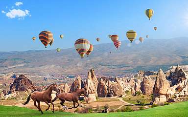 Vadlovak és hőlégballonok, Cappadocia, 