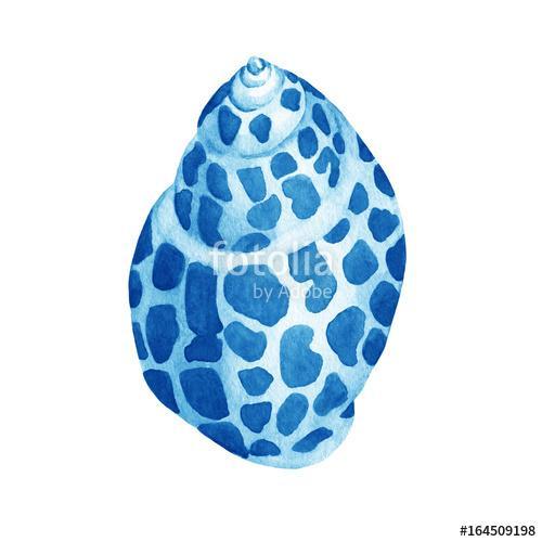 Illustrations of blue sea shells. Marine design. Hand drawn wate, Premium Kollekció