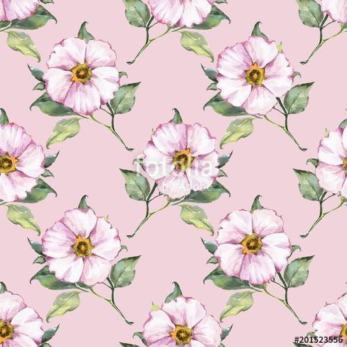 Floral seamless pattern. Watercolor background with white flower, Premium Kollekció