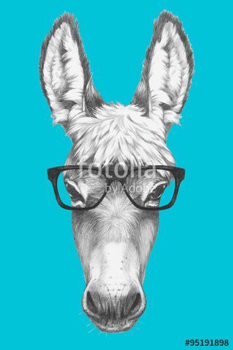 Portrait of Donkey with glasses. Hand drawn illustration., Premium Kollekció