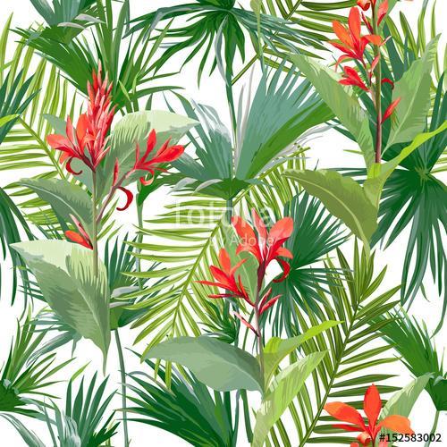 Trópusi pálma levelek és virágok, dzsungel levelek zökkenőmentes, Premium Kollekció