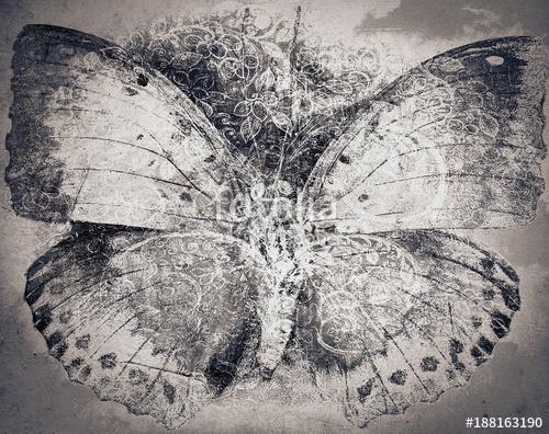 grunge butterfly background texture, Premium Kollekció