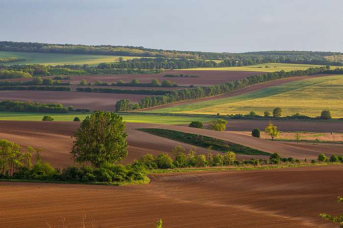 Tavasz a határban, 