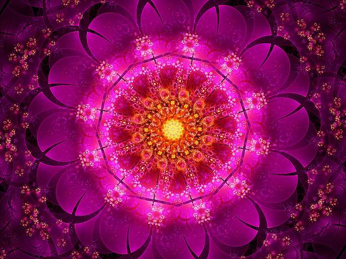 Purple oriental fractal, Premium Kollekció