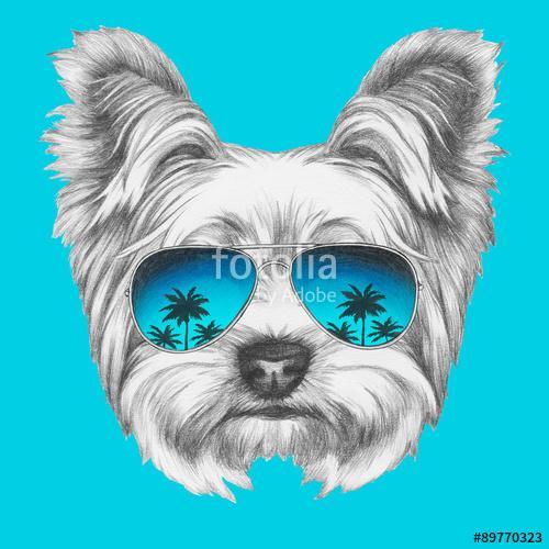 Portrait of Yorkshire Terrier Dog with mirror sunglasses. Hand d, Premium Kollekció