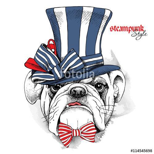 The image of the dog Bulldog in the steampunk top hat and with b, Premium Kollekció