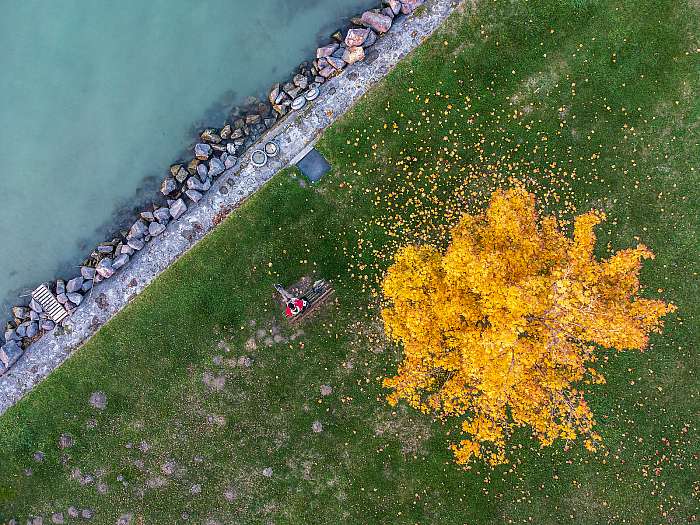 Ősz a Balaton parton (Balatonszemes), 