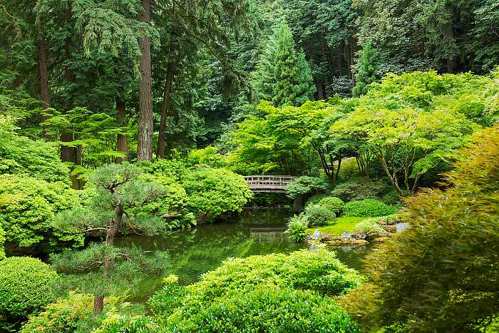 Japánkert híddal, Premium Kollekció