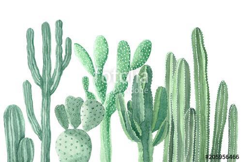 Watercolor Cactus and Succulents, Premium Kollekció