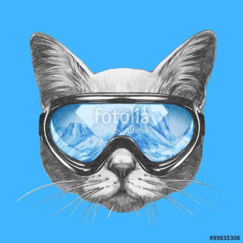 Portrait of Cat with ski goggles. Hand drawn illustration. , Premium Kollekció