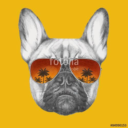 Hand drawn portrait of French Bulldog with mirror sunglasses. Ve, Premium Kollekció