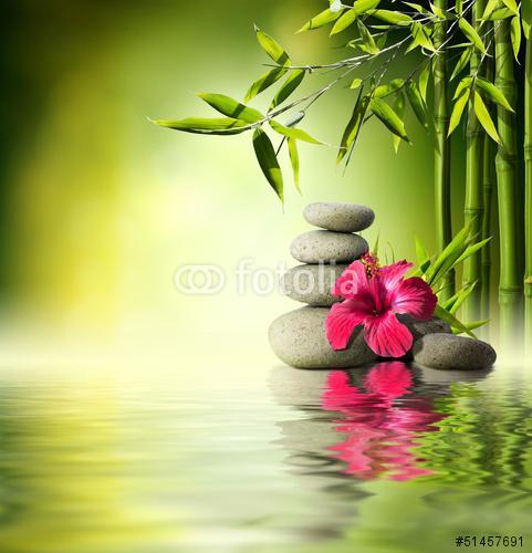 Stones, piros hibiszkusz és bambusz a vízen, Premium Kollekció