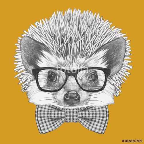 Portrait of Hedgehog with glasses and bow tie. Hand drawn illust, Premium Kollekció