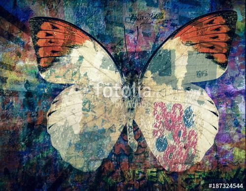 grunge Butterfly background  texture, Premium Kollekció