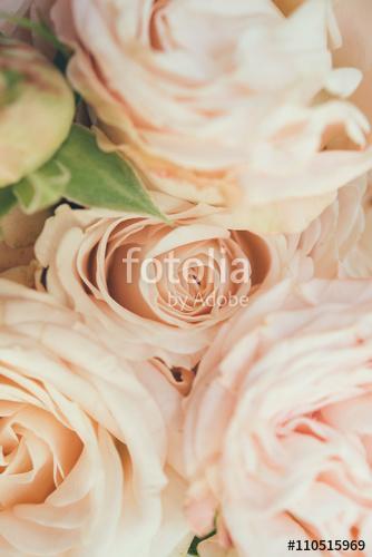 Beautiful fresh beige roses background, Premium Kollekció