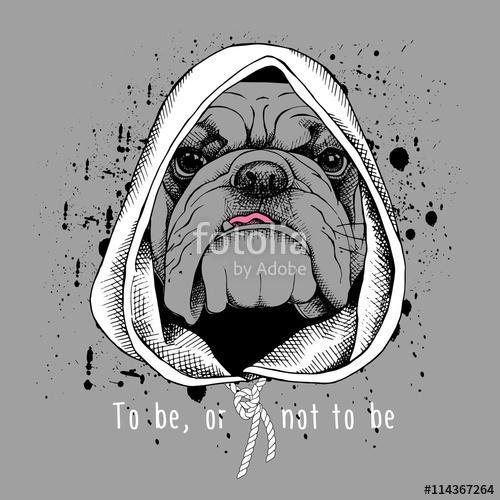 The poster with the image of the dog Bulldog in the hood. Vector, Premium Kollekció