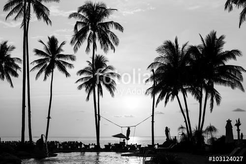 Silhouettes of palm trees on a tropical beach, black and white p, Premium Kollekció