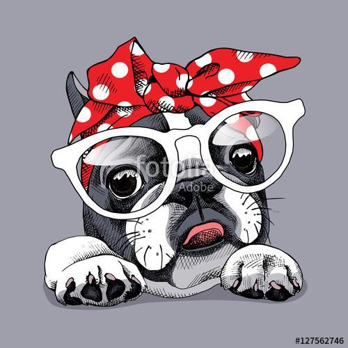 French Bulldog portrait in a headband and with glasses. Vector i, Premium Kollekció