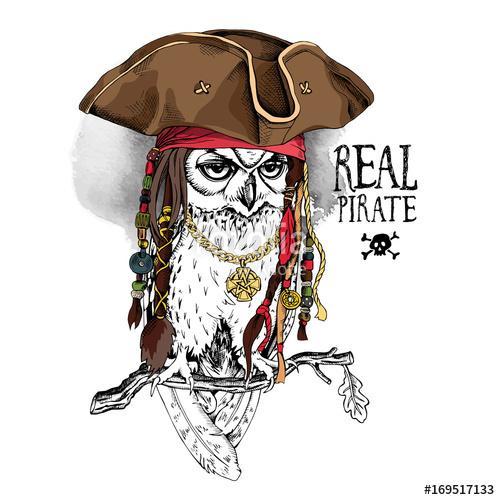 Owl with Dreadlocks and accessories in a Pirate hat on a oak bra, Premium Kollekció