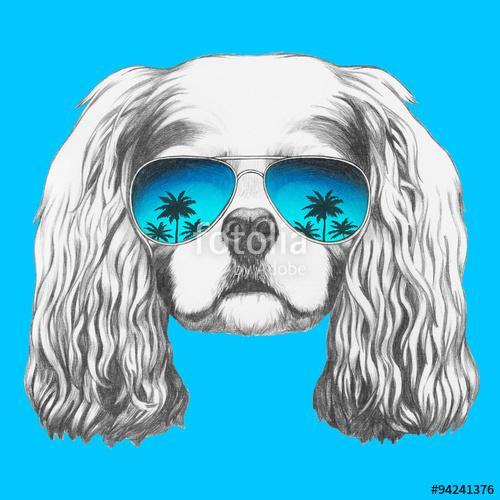 Portrait of Cavalier King Charles Spaniel with mirror sunglasses, Premium Kollekció