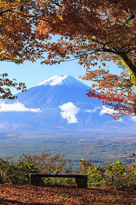 Az őszi szezon a Mt. Fuji Japánban, szép sárga színnel, Partner Kollekció
