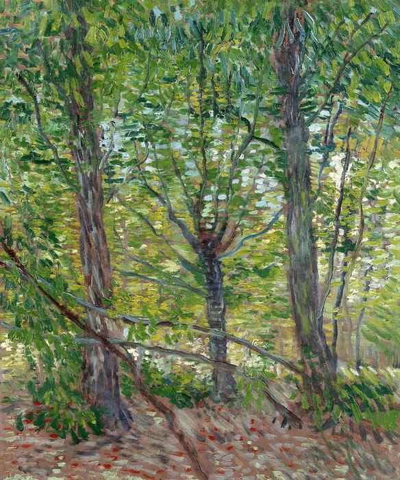 Fák, Vincent Van Gogh