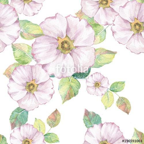 Delicate white flowers. Hand drawn watercolor floral seamless pa, Premium Kollekció