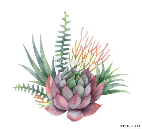 Watercolor vector bouquet of cacti and succulent plants isolated, Premium Kollekció