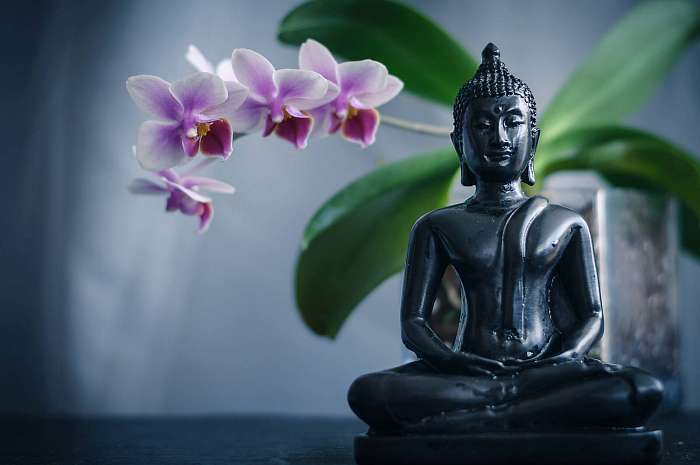 Buddha and Orchid, Premium Kollekció